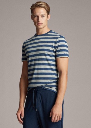 Koszulki Ralph Lauren Striped Lisle T-Shirt Męskie Niebieskie Szare | PYHQ3952