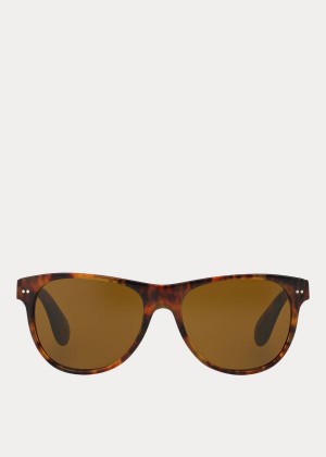 Okulary Przeciwsłoneczne Ralph Lauren Classic Heritage Sunglasses Męskie Zielone | SINI4851