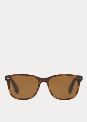 Okulary Przeciwsłoneczne Ralph Lauren Classic JL Sunglasses Męskie Zielone | VIIP0804