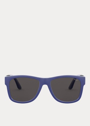 Okulary Przeciwsłoneczne Ralph Lauren Color-Blocked Sunglasses Męskie Ciemny Szare | BVDG2745