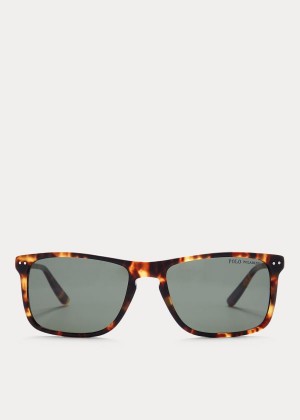 Okulary Przeciwsłoneczne Ralph Lauren Metal Temple Sunglasses Męskie Niebieskie Panterka | QDQY6197