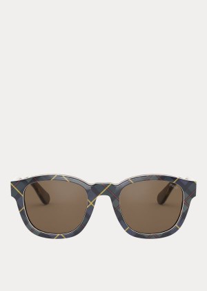 Okulary Przeciwsłoneczne Ralph Lauren Tartan Collegiate Sunglasses Męskie Brązowe | EOKK9265