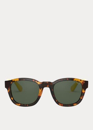 Okulary Przeciwsłoneczne Ralph Lauren Tartan Collegiate Sunglasses Męskie Zielone | XTPA1398