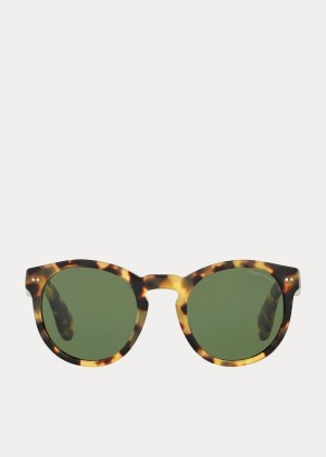 Okulary Przeciwsłoneczne Ralph Lauren The RL Bedford Sunglasses Męskie Zielone | PSLG9756