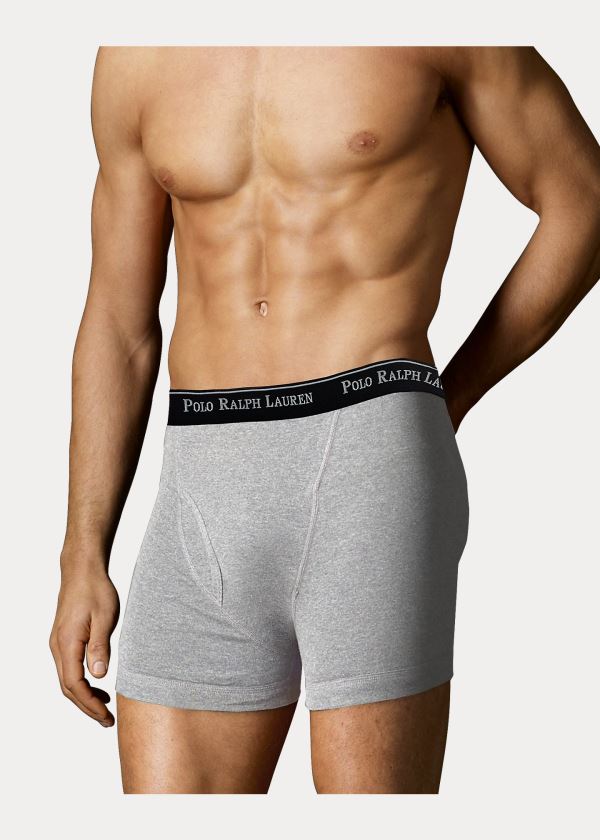 Bielizny Ralph Lauren Boxer Brief 2-Pack Męskie Szare | UOJZ1036