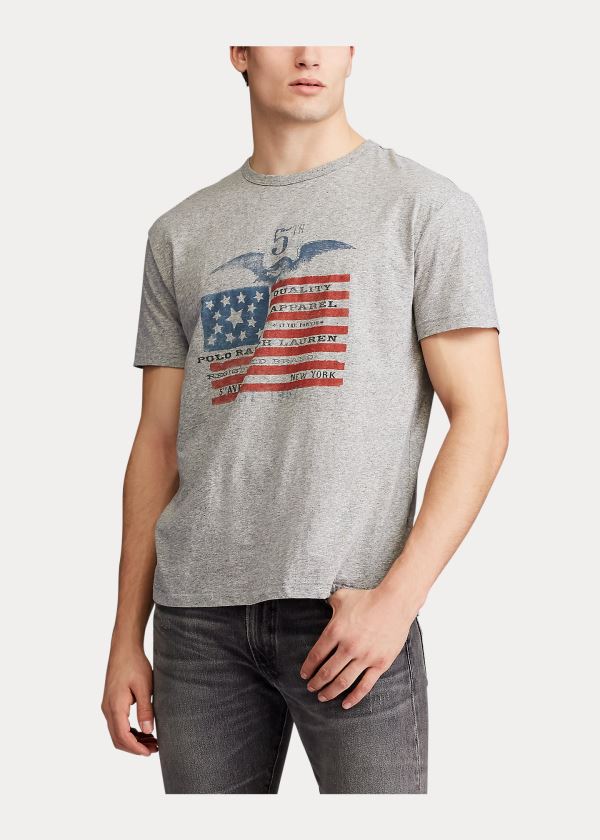 Koszulki Ralph Lauren Classic Fit Graphic T-Shirt Męskie Szare | SIER3217