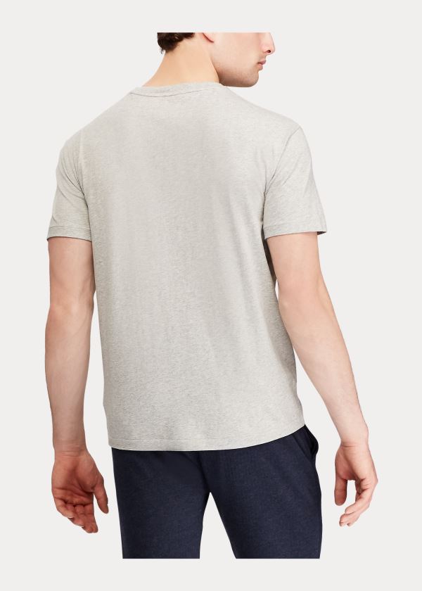 Koszulki Ralph Lauren Classic Fit V-Neck T-Shirt Męskie Szare | ADRZ7599