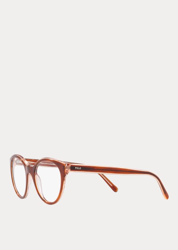 Okulary Przeciwsłoneczne Ralph Lauren Cat-Eye Panthos Eyeglasses Damskie Brązowe | QDGP4060