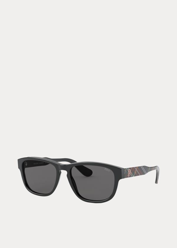 Okulary Przeciwsłoneczne Ralph Lauren Collegiate Sunglasses Męskie Ciemny Niebieskie | QMBE8459