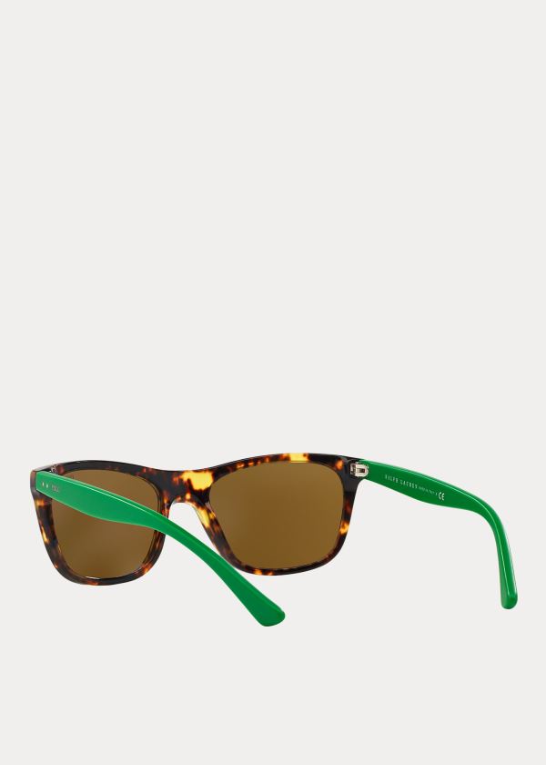 Okulary Przeciwsłoneczne Ralph Lauren Color-Blocked Sunglasses Męskie Zielone | RYLD5559