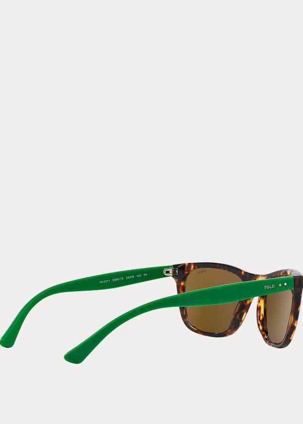 Okulary Przeciwsłoneczne Ralph Lauren Color-Blocked Sunglasses Męskie Zielone | RYLD5559