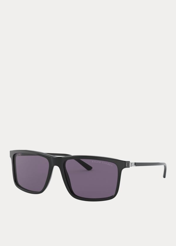 Okulary Przeciwsłoneczne Ralph Lauren RL Hinge Sunglasses Męskie Fioletowe | BJZO3295