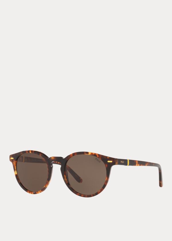 Okulary Przeciwsłoneczne Ralph Lauren Regimental Stripe Sunglasses Męskie Brązowe | CJED0356