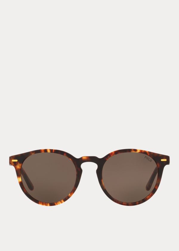 Okulary Przeciwsłoneczne Ralph Lauren Regimental Stripe Sunglasses Męskie Brązowe | CJED0356