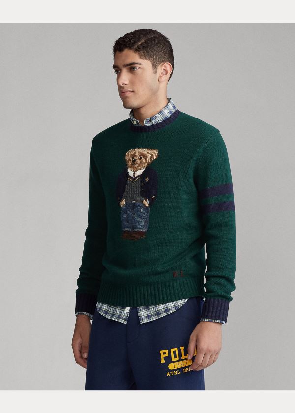 Swetry Ralph Lauren Preppy Bear Sweater Męskie Zielone | NIJZ6969