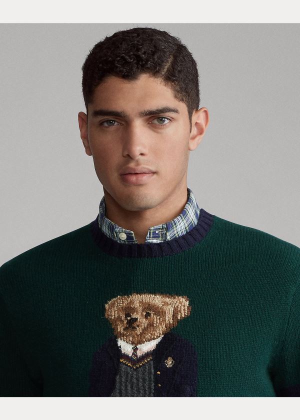 Swetry Ralph Lauren Preppy Bear Sweater Męskie Zielone | NIJZ6969